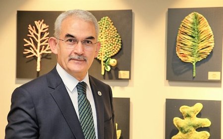OGM: Hafta sonu çıkan 85 yangının çoğu ihmal ve dikkatsizlikten