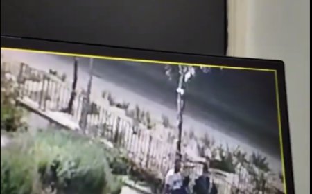 Mudanya Zabıtası çevreyi kirleten gençlere çöp toplattı, ceza kesti!