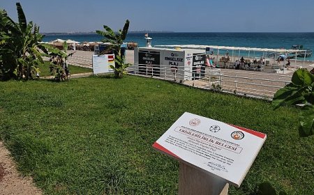 Büyükşehir’in engelsiz plajlarına ziyaretçi akını