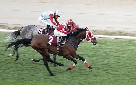 Konak Belediye Başkanlığı Koşusu’nu Gutshot kazandı