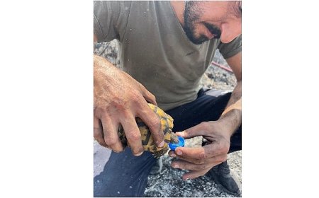 Alevlerin ortasında bir damla hayat