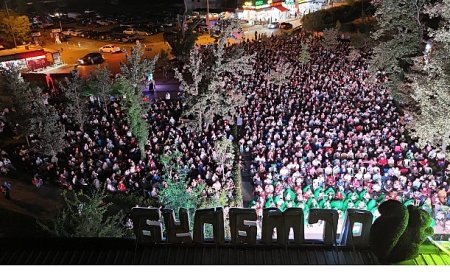 Ormanya gece sineması 5 bin katılımcıyla rekor kırdı