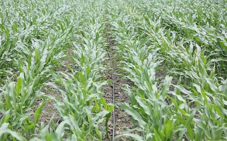 PepsiCo Suyun Geleceğini Koruma Konusunda Kararlı Adımlar Atmaya Devam Ediyor