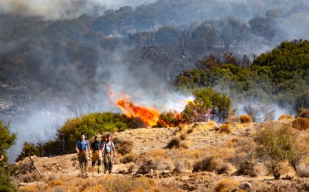 İzmir İtfaiyesi, Aliağa’daki yangına da müdahale ediyor