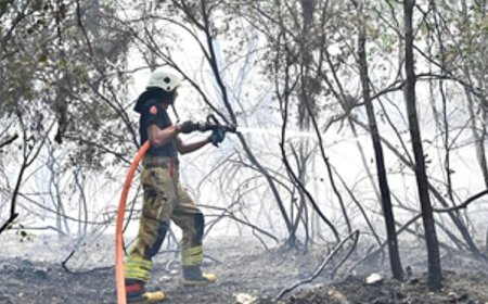 İzmir İtfaiyesi Menderes’te alevlerle mücadele ediyor