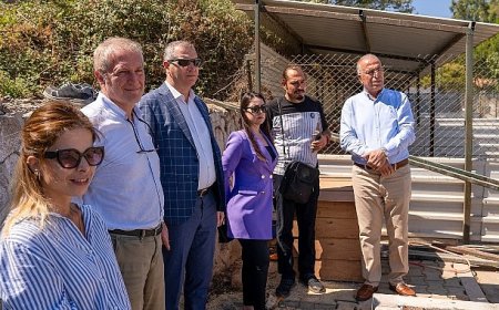 Gaziemir Belediyesi’nden can dostlara yeni yuva
