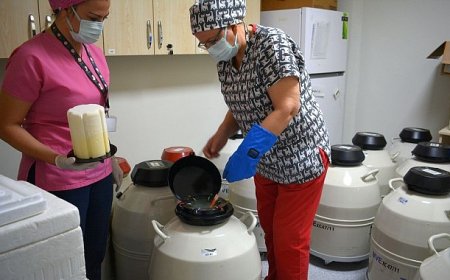 Türkiye’nin ilk Tüp Bebek Merkezinde anne baba olma hayaline bilimsel dokunuş