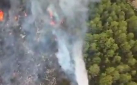 Muğla Seydikemer’de orman yangını