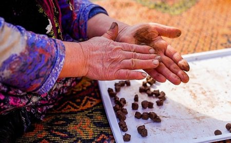 İnci GS Yuasa Akü’den doğaya 100.000 tohumluk katkı!