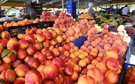 Başkan Topaloğlu’ndan pazar esnafına yeni yerinde ziyaret