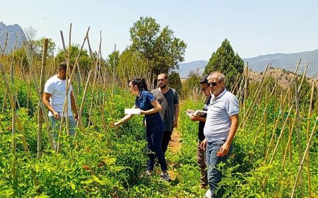 Çankaya Belediyesi’nden organik pazar denetimleri