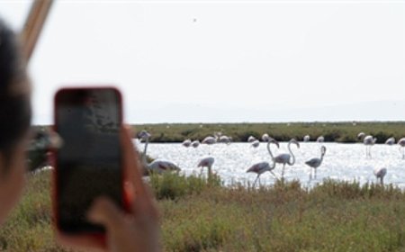 Flamingo Yolu turları başladı