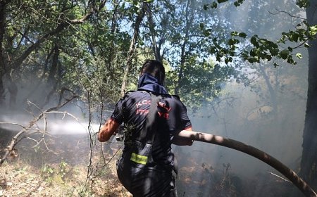 Büyükşehir, Karamürsel yangını için seferberlik ilan etti