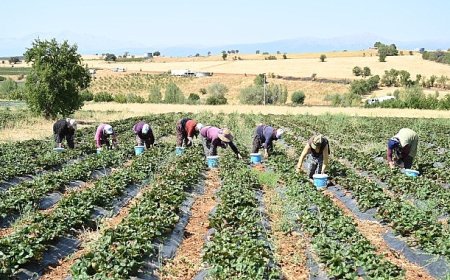 Başkan Altay: “Tarımın Her Alanında Üreticimizin Yanında Olmaya Devam Edeceğiz”