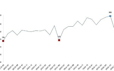 Tavuk eti üretimi 202 bin 521 ton, tavuk yumurtası üretimi 1,52 milyar adet olarak gerçekleşti