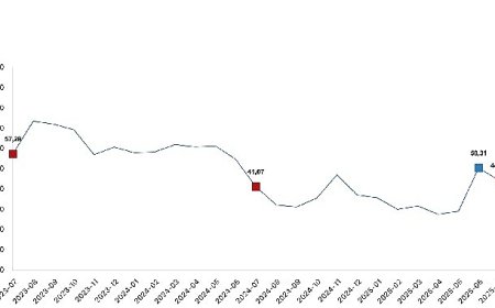 Tarım ürünleri üretici fiyat endeksi (Tarım-ÜFE) yıllık yüzde 44,32 arttı, aylık yüzde 5,66 azaldı