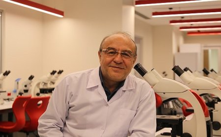 Pestisitler, arı nüfusunu da tehdit ediyor! Arıların yok oluşu zincirleme bir çöküşe sebep olur!