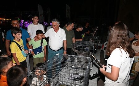 Kemer’de sokak hayvanları yararına ikinci konser
