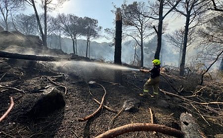 İzmir İtfaiyesi Bergama’da alevlerle mücadele ediyor