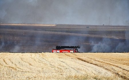 3 günde 70 hektarlık alan kül oldu