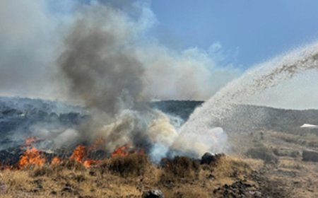 İzmir İtfaiyesi kentsel ve kırsal yangınlarla mücadele ediyor