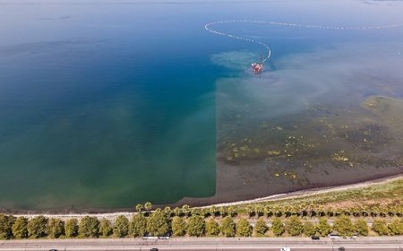 Körfez’de mavi dönüşüm