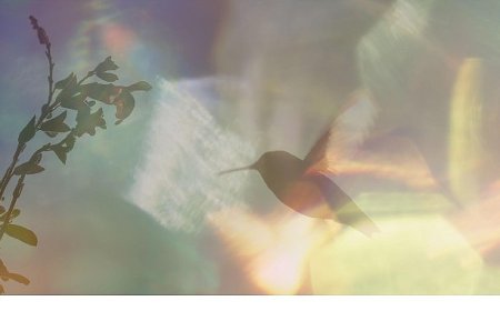 Yapı Kredi bomontiada TV+ ile Açık Havada Sinema’da bu hafta: “Every Little Thing”