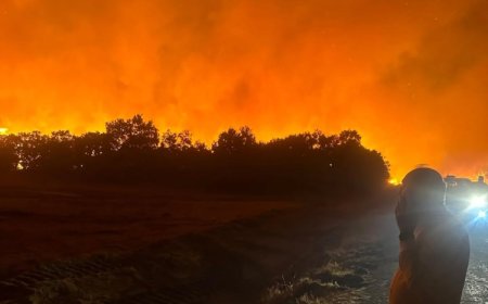 Enez’de orman yangını paniği… Gülçavuş sahili boşaltılıyor