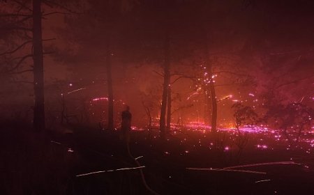 Çanakkale’ye yardıma giden İBB İtfaiyesi yoldayken Edirne Enez’deki yangına yönlendirildi