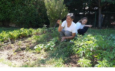 Altın Yıllar Yaşam Merkezi’nde hasat zamanı