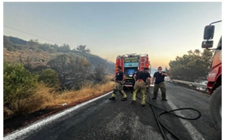 Urla yangını kontrol altına alındı