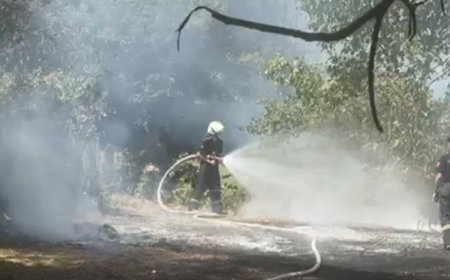 Düzce’de otluk alanda çıkan yangın kontrol altında