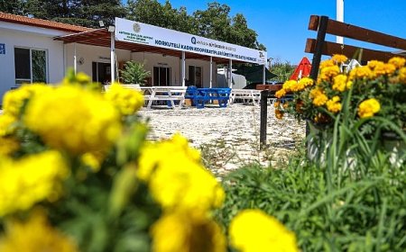 Büyükşehir’den kadınlara üretim desteği