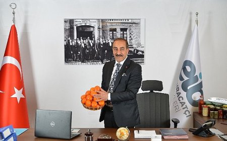 Ege Bölgesi Narenciye Rekoltesi 449 bin ton