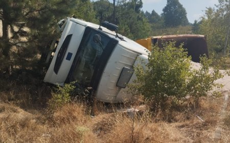 Kamyonunu bilerek devirdi, faciayı önledi