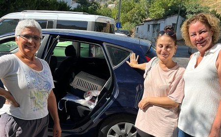 Narlıdere Belediyesi’nden minik dostlar için seferberlik