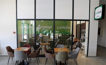 Ekonomik “Çankafe” sayısı artıyor