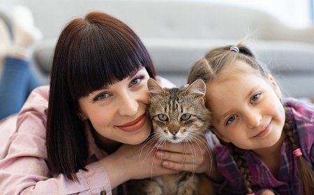 Kedilerin Hayatımıza Katkıları   Sadece Sevgiyle Sınırlı Değil