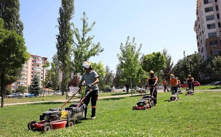 Çankaya parklarında çimler biçme ve ot temizleme mesaisi