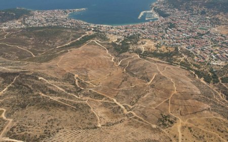 İzmir Foça yeniden yeşermeye hazırlanıyor