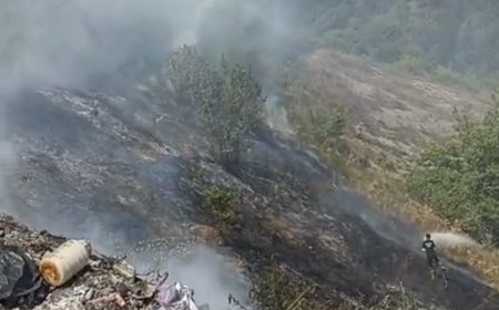 Düzce Yığılca’da fındık bahçesinde yangın… 6 hektar zarar gördü