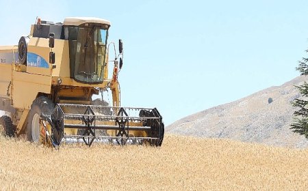 Halkın toprağından halkın sofrasına halk ekmek