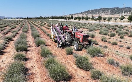 Başkan Altay: “Her Zaman Üreten, Çalışan ve Bu Ülkeye Katkı Sağlayan Üreticimizin Yanında Olacağız”