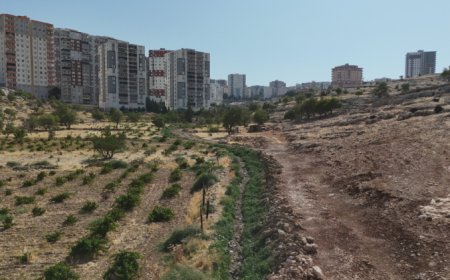Mardin Yalım Mahallesi’nde atıksu sorunu çözüldü