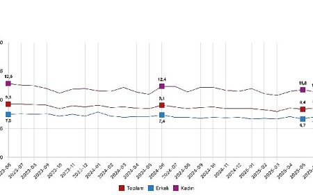 Mevsim etkisinden arındırılmış işsizlik oranı yüzde 8,6 seviyesinde gerçekleşti