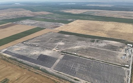 YEO Teknoloji’den dünyaya 2.5 milyon ağaç kadar nefes