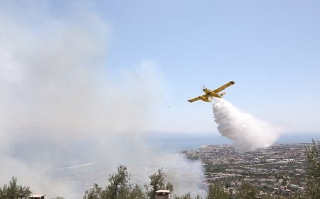 Edremit’te zeytinlikte çıkan yangın ormana sıçramadan söndürüldü