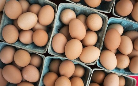 DFİF kesintisi kalktı, yumurta ihracatçısı rahatladı