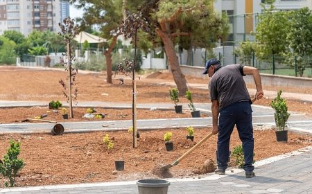 Yenişehir Belediyesi kenti yeşillendirmeye devam ediyor