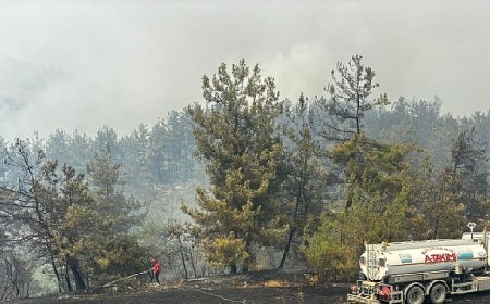 Büyükşehir’den Bursa’daki yangına tam destek